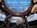 Infinite Wonder, Scott Kelly - Gebonden - 9780857524775