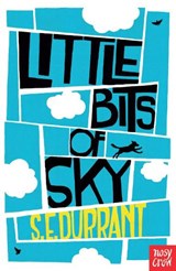 Little Bits of Sky - S. E. Durrant - 9780857633996