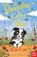 A Sheepdog Called Sky, Helen Peters - Paperback - 9780857639110