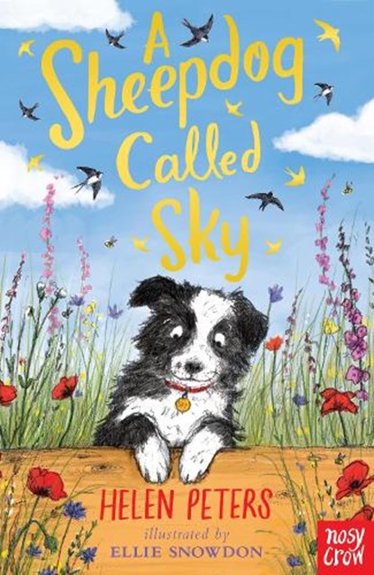 A Sheepdog Called Sky, Helen Peters - Paperback - 9780857639110