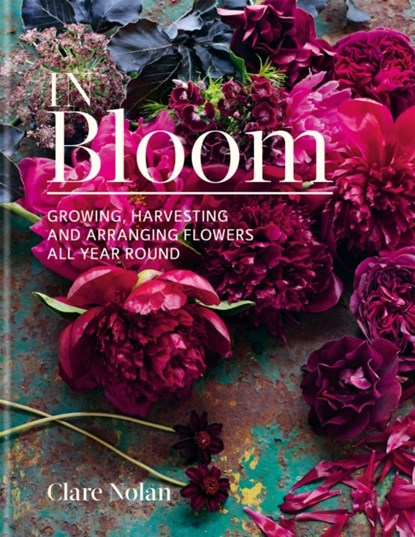 In Bloom, Clare Nolan - Gebonden Gebonden - 9780857833051