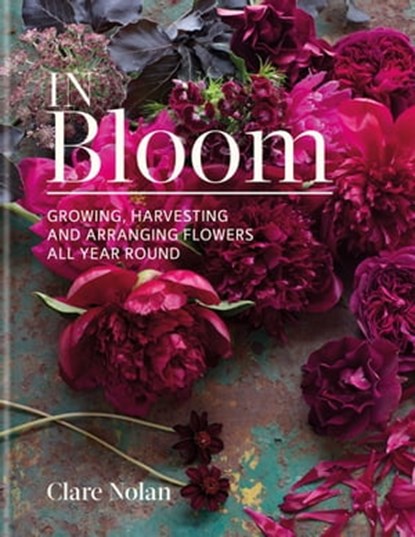 In Bloom, Clare Nolan - Ebook - 9780857837691