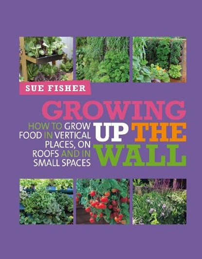 Growing Up the Wall, Sue Fisher - Paperback - 9780857841094