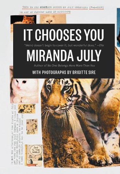 It Chooses You, JULY,  Miranda - Paperback - 9780857862549