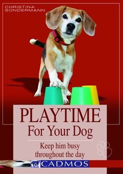 Playtime for your dog, Chistina Sondermann - Ebook - 9780857886606