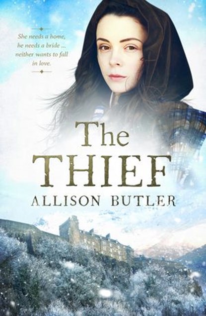 The Thief, Allison Butler - Ebook - 9780857992567