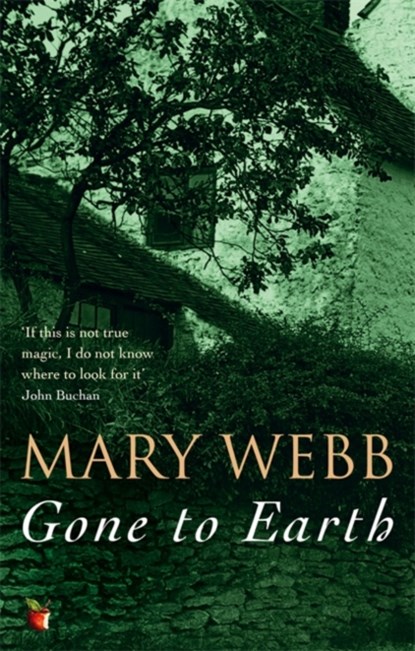 Gone To Earth, Mary Webb - Paperback - 9780860681434