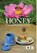 Honey, a comprehensive survey, Eva Crane - Gebonden - 9780860982920
