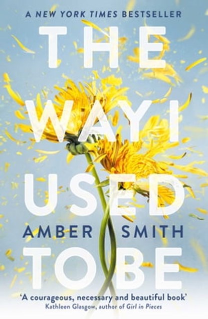 The Way I Used to Be, Amber Smith - Ebook - 9780861546749