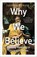 Why We Believe, Alister McGrath - Paperback - 9780861549221