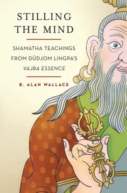 Stilling the Mind, B. Alan Wallace - Ebook - 9780861716494