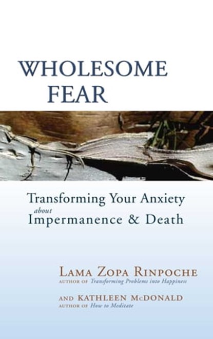 Wholesome Fear, Lama Thubten Zopa Rinpoche ; Kathleen McDonald - Ebook - 9780861719440