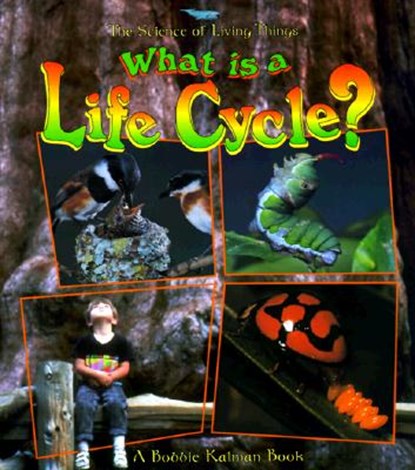 What Is a Life Cycle?, Bobbie Kalman - Paperback - 9780865058866