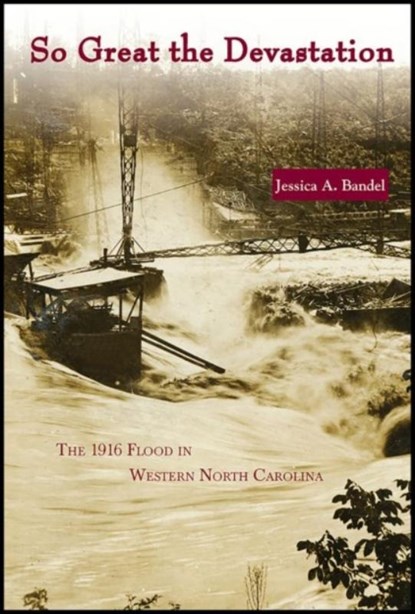 So Great the Devastation, Jessica A Bandel - Paperback - 9780865264816