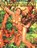 Jungle Tails, Various Various - Paperback - 9780865620728