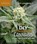 DIY Autoflowering Cannabis, Jeff Lowenfels - Paperback - 9780865719163
