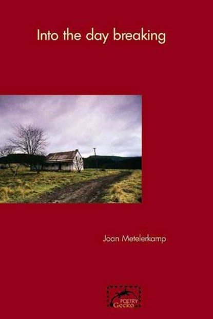 Into the Day Breaking, METELERKAMP,  Joan - Paperback - 9780869809778
