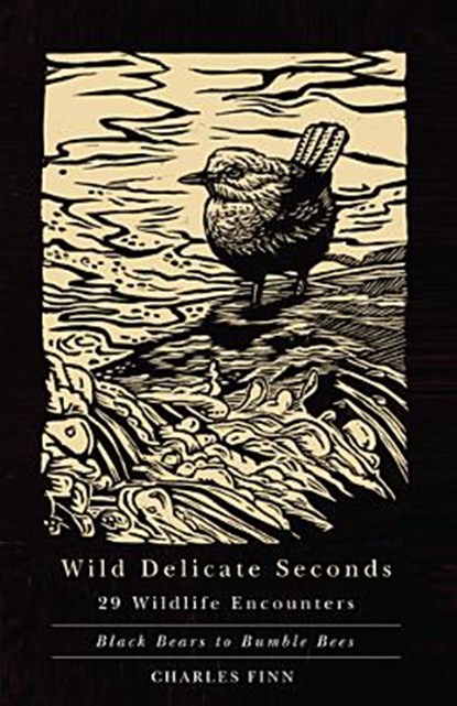 Wild Delicate Seconds, Charles Finn - Paperback - 9780870716553