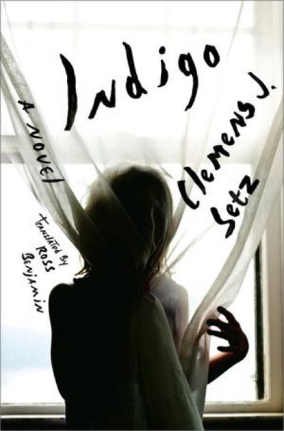 Indigo - A Novel, Clemens J. Setz ; Ross Benjamin - Gebonden - 9780871402684