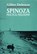 Spinoza, Gilles Deleuze - Paperback - 9780872862180
