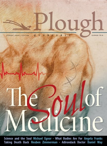 Plough Quarterly No. 17- The Soul of Medicine, Stephanie Sadana ; John M. Perkins ; Sarah Williams ; Mark Schloneger ; Angela Franks ; Clare Stober ; Daniel Way ; Michael Egnor ; Reuben Zimmerman ; Nicanor Austriaco - Paperback - 9780874868470