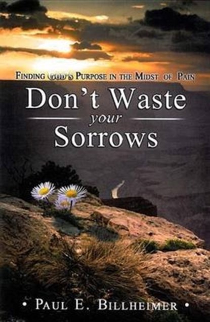 Don't Waste Your Sorrows, Paul E. Billheimer - Paperback - 9780875080079
