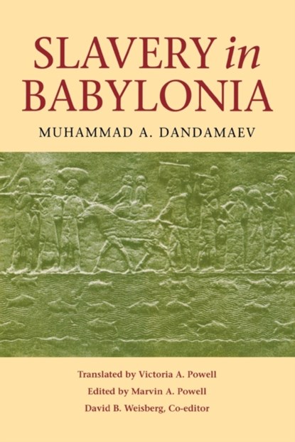 Slavery in Babylonia, Muhammad A. Dandamaev - Paperback - 9780875806211