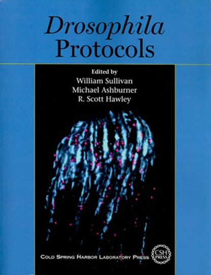 Drosophila Protocols, W Sullivan ; Michael Ashburner ; R Scott (Stowers Institute for Medical Research) Hawley - Paperback - 9780879698270