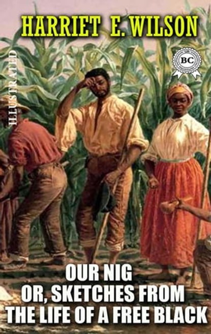 Our Nig; Or, Sketches from the Life of a Free Black. Illustrated, Harriet E. Wilson - Ebook - 9780880044202