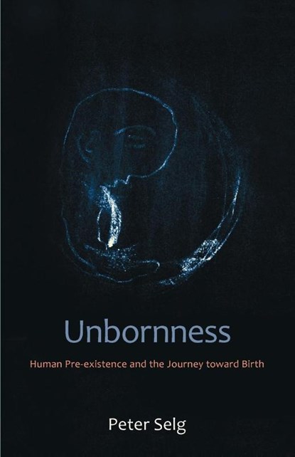 Unbornness, Peter Selg - Paperback - 9780880107181