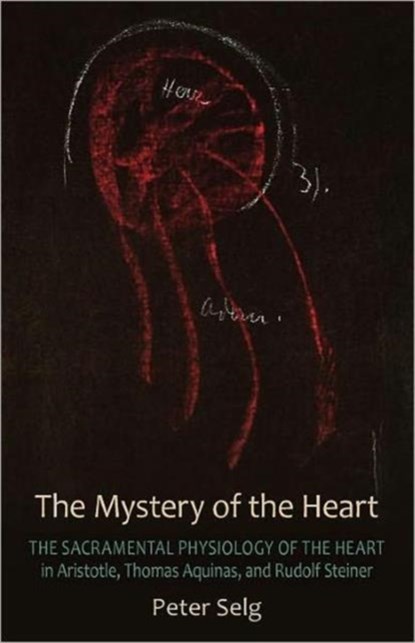 The Mystery of the Heart, Peter Selg - Paperback - 9780880107518