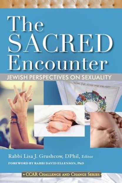 The Sacred Encounter: Jewish Perspectives on Sexuality, Lisa J. Grushcow - Paperback - 9780881232035