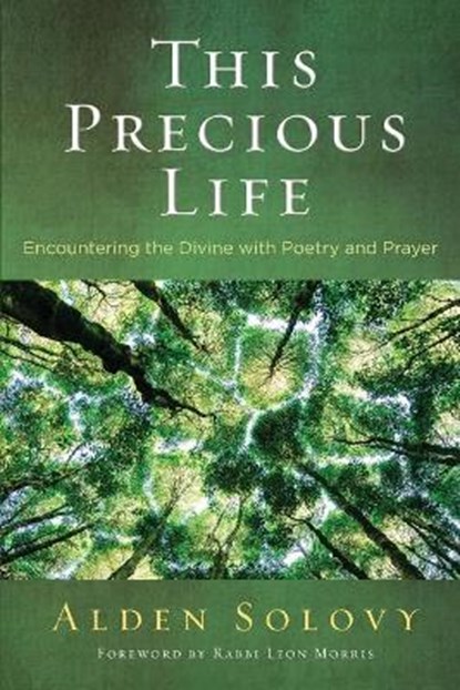 This Precious Life: Encountering the Divine with Poetry and Prayer, Alden Solovy - Paperback - 9780881233681