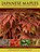 Japanese Maples, J. D. Vertrees ; Peter Gregory - Gebonden - 9780881929324