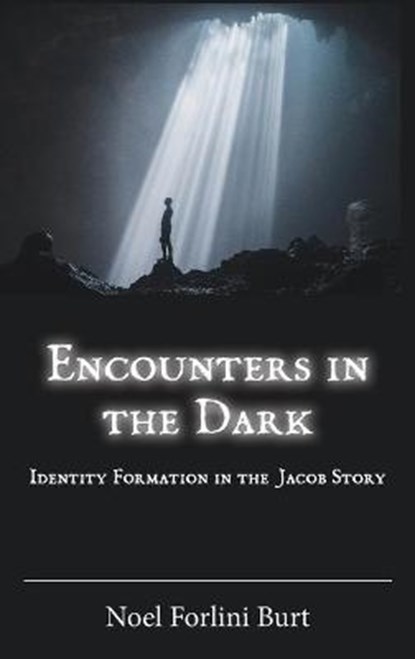 Encounters in the Dark, FORLINI BURT,  Noel - Gebonden - 9780884144595