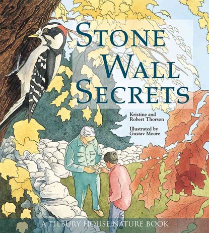 Stone Wall Secrets, Kristie Thorson - Paperback - 9780884482291