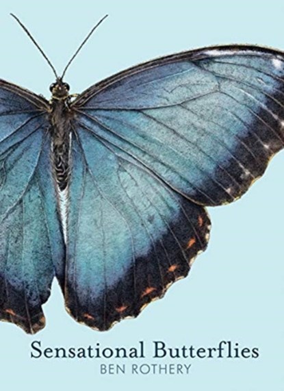 Sensational Butterflies, Ben Rothery - Gebonden - 9780884488767