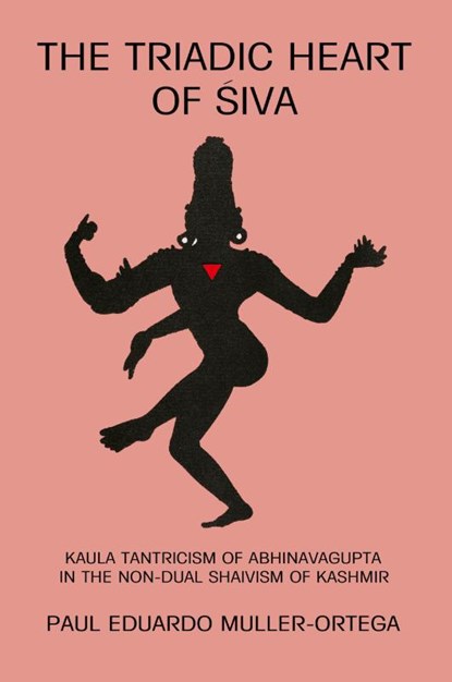 The Triadic Heart of ¿iva, Paul E. Muller-Ortega - Paperback - 9780887067877