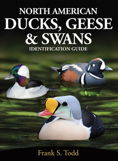 North American Ducks, Geese and Swans, Frank Todd - Paperback - 9780888390936