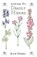Guide to Deadly Herbs, Julie Gomez - Paperback - 9780888393975