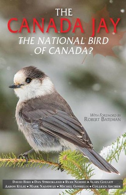 The Canada Jay, DAVID,  PhD Bird - Paperback - 9780888397171