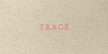 Jenny Holzer: Trace, Jenny Holzer - Paperback - 9780892075652