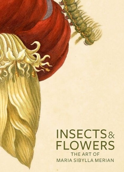 Insects and Flowers – The Art of Maria Sibylla Merian, . Brafman - Paperback - 9780892369294