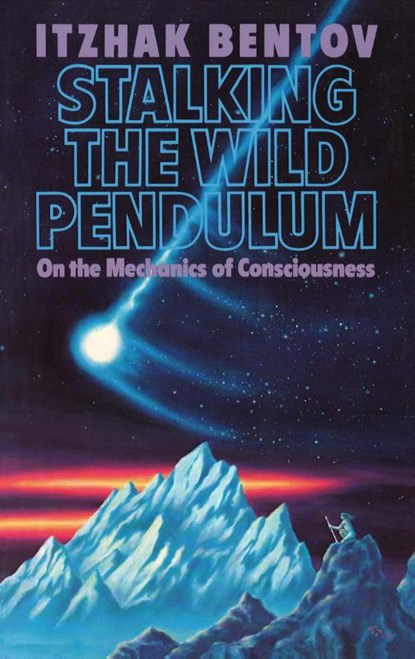Stalking the Wild Pendulum, Itzhak Bentov - Paperback - 9780892812028