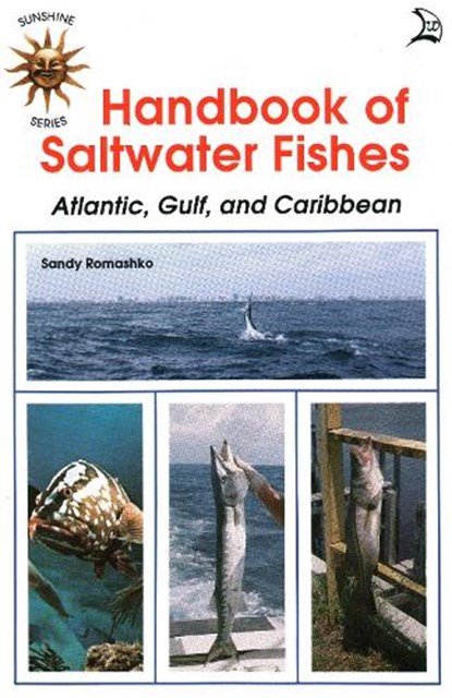 Handbook of Saltwater Fishes, ROMASHKO,  Sandra - Paperback - 9780893170400