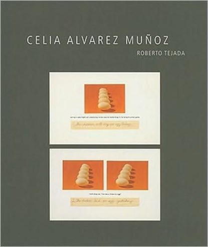 Celia Alvarez Munoz, Roberto Tejada - Gebonden - 9780895511119