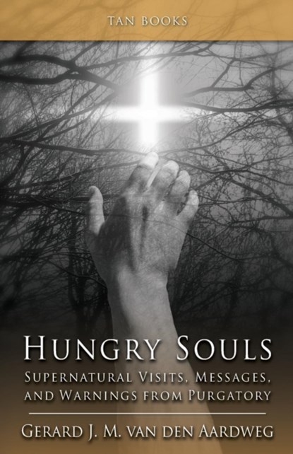 Hungry Souls, Gerard J. M. Van Den Aardweg - Paperback - 9780895558992