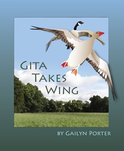 Gita Takes Wing, PORTER,  Gailyn - Paperback - 9780895562838