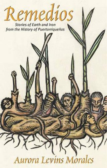Remedios, MORALES,  Aurora Levins - Paperback - 9780896086449