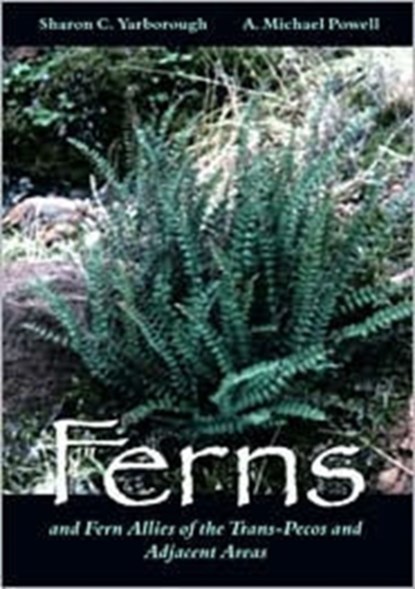 Ferns and Fern Allies of the Trans-Pecos and Adjacent Areas, Sharon C. Yarborough ; A.Michael Powell - Paperback - 9780896724761